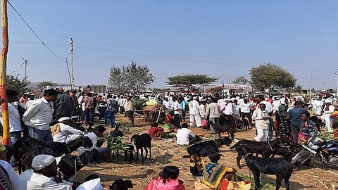 Goat-sheep market turnover of Rs
