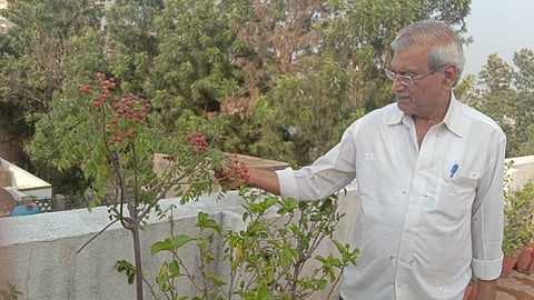 kotharud 1.jpg