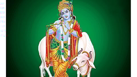 गोकुळाष्टमी