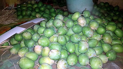 हंगामाच्या सुरवातीलाच आंबा हजार रुपयांनी घसरला