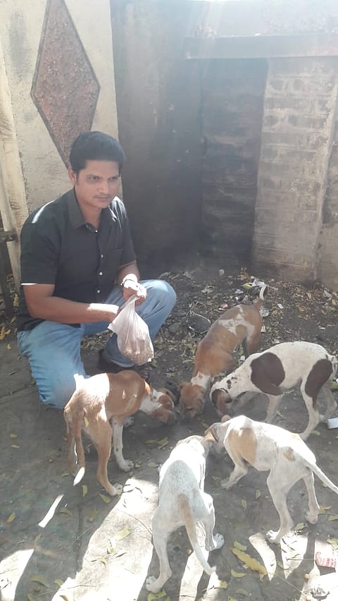 man fedding dogs.jpg