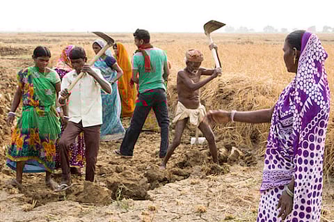 Teachers from Gondia district are going to work for MGNREGA