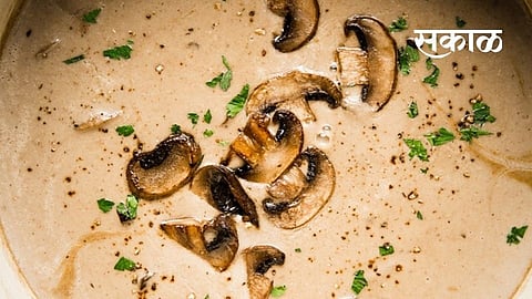 homemade Beneficial to health Mushroom soup tips food marathi news