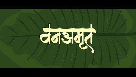 दोन लाख कुटुंबांना रोजगाराची संधी