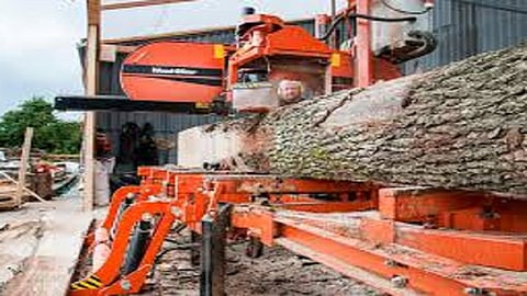 50 swa meal are in dangerous condition in all over state sindhudurg 12 meal in are involved