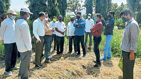 पिकांच्या पंचनाम्यामध्ये हयगय नको : शिवेंद्रसिंहराजे