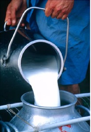 The Guardian's first fight against Gokul was a success