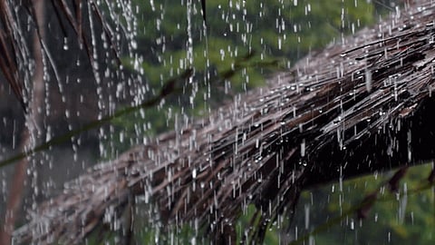 पावसाची एन्ट्री लांबणीवर, 1 जून नाही तर 'या' तारखेला येणार पाऊस