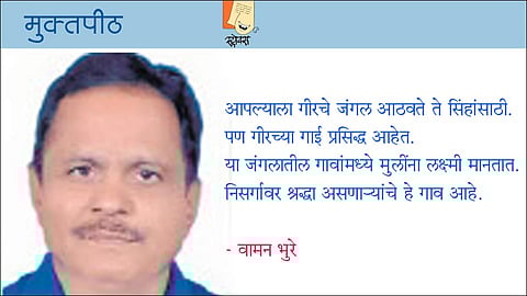 गीरच्या जंगलात...