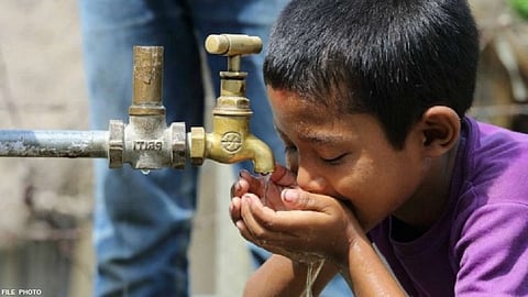 मुंबईतील पाण्यात आढळला सर्वात मोठा विषाणू; नाव बॉम्बे व्हायरस..