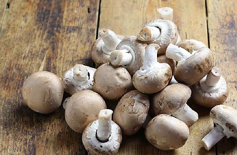 benefits of eating mushrooms
