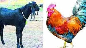 mutton and chiken.jpg