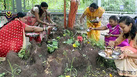 nagpanchami.jpg