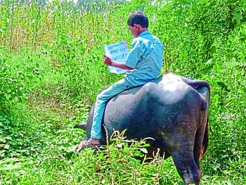 विद्यार्थ्याने लढवली अजब शक्कल, आणि दाखविले अकल के साथ भैस भी बडी !