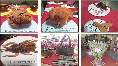 agricultural university of konkan exhibition on the occasion of coconut day in konkan