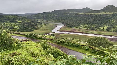 natural beauty of Dimna dam is Growing Now