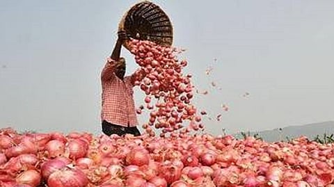 onion market.jpg