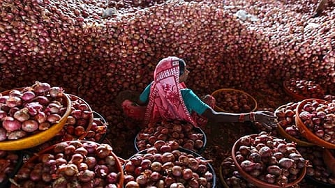 onion price 4.jpg