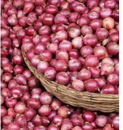 Onions have arrived in large quantities in the Ghodegaon sub market of the Nevasa Bazar Samiti