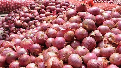 onion