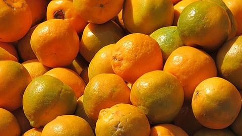 At railway stations, passengers will get orange and farmers will get their rightful place
