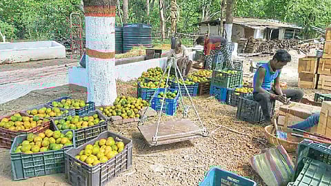Farmer Chinmay Phutane