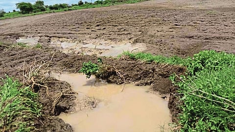 परतूर : परिसरात पावसानंतर शेतात साचलेले पाणी.