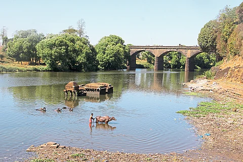 Criminal in case of pollution of Panchganga, Rankala