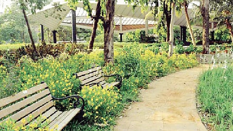 मुंबईकरांनो, आता 24 तास उद्याने राहणार खुली