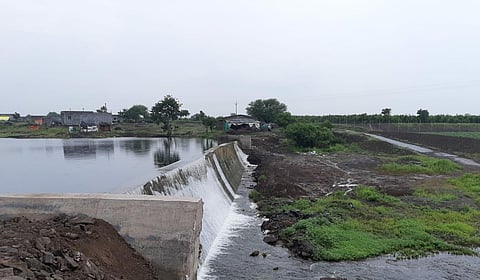 parsul nadi saundane.jpg