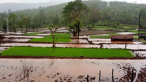 In Mandangad taluka rain for two days Rivers streams flowing Farms