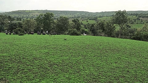 पिंपळगाव रेणुकाई : बहरलेल्या निसर्गाच्या वातावरणाचा आनंद घेताना पर्यटक.