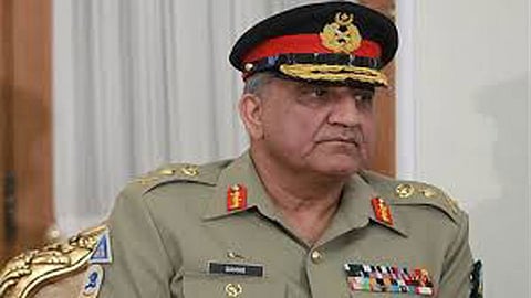 qamar javed bajwa