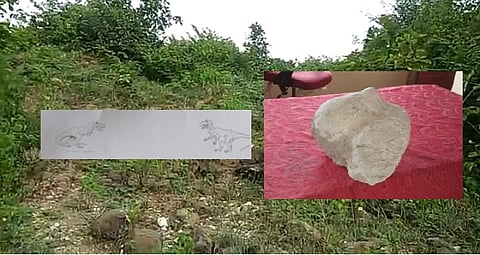 A village in Chandrapur district wants to be known as the village of dinosaurs