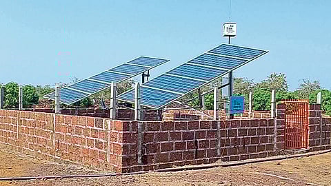 Farmer Experiment Success Story In Ratnagiri Kokan Marathi News