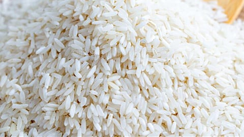 rice