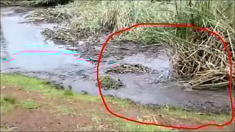 bizarre sinkhole swallows everything in its path at kenya video viral