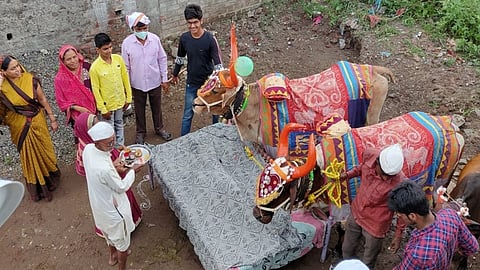 शहागड : कष्टाचा वाटेकरी असणाऱ्या बैलजोडीची मनोभावे पूजा करताना शेतकरी कुटुंब.