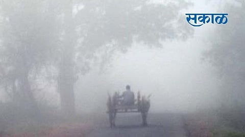 early morning with cold and thick fog atmosphere in kolhapur