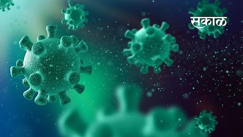 363 new patients in Sangli district; Five dead, 214 coronated