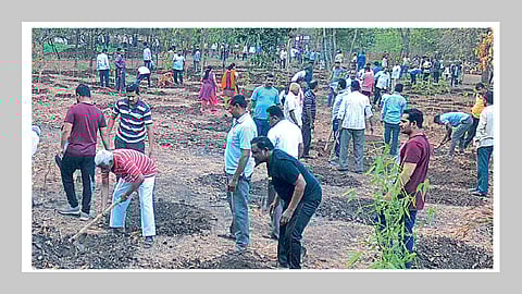 ‘आमराई’साठी सरसावले हजारो हात