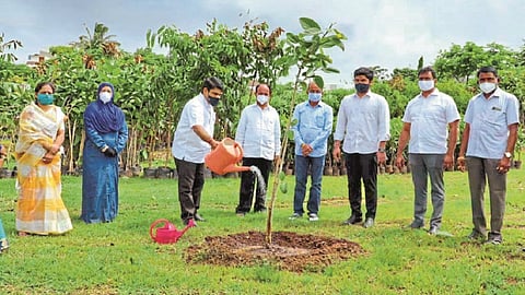 Five thousand trees planted, now take responsibility