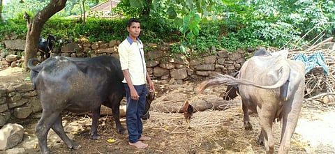 The teacher went to the hill to find Ajay Shinde from Akole taluka