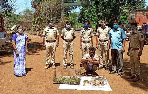 ratnagiri police read on huntsman home