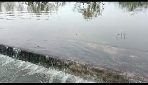 shirnandgi talaw.jpg