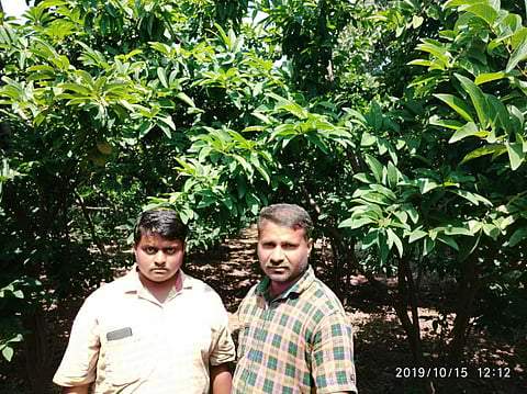 Akola News: Success Story: Two lakh 60 thousand custard apple in two acres !, Net profit of two lakh