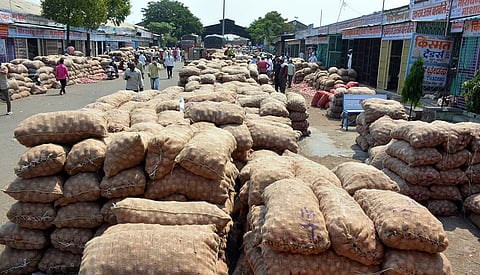 Increased theft in Solapur market committee