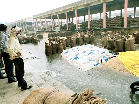 soybeans were soaked.jpg
