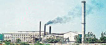 sugar factory.jpg