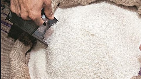 देशात ३०५ लाख टन साखर उत्पादन शक्य; महाराष्ट्रात उत्पादन वाढणार